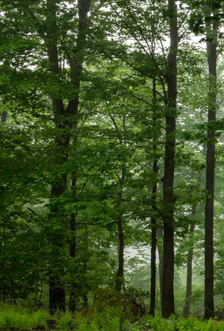 China’s economy stagnated in November